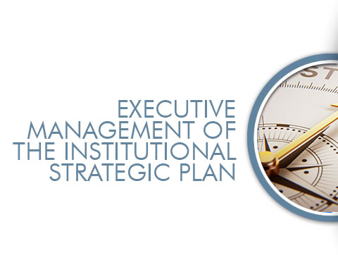 EXECUTIVE MANAGEMENT OF THE INSTITUTIONAL STRATEGIC PLAN